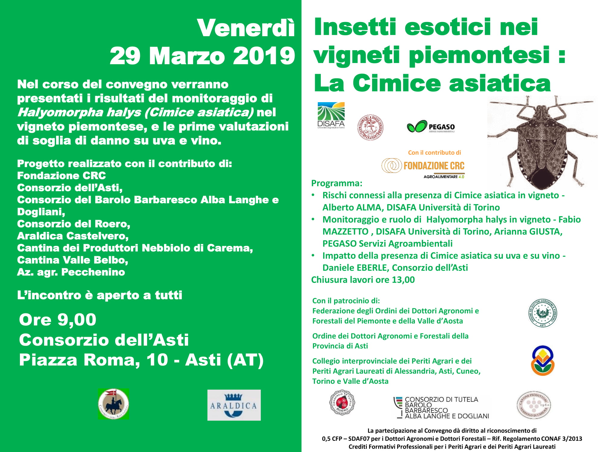 Copertina Convegno cimice asiatica nei vigneti del Piemonte