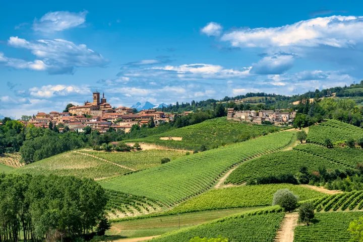 Country landscape of Monferrato (Asti, Piedmont, Italy) at summer, with vineyards © clodio