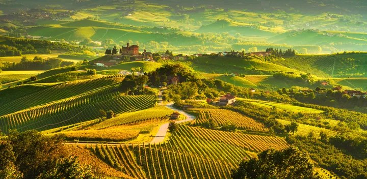 Langhe © StevanZZ