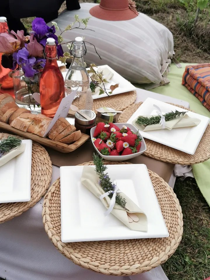 Pic nic in vigna Azienda Torelli 