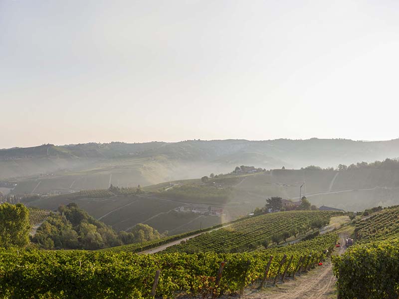 Asti Docg 2016 panoramica