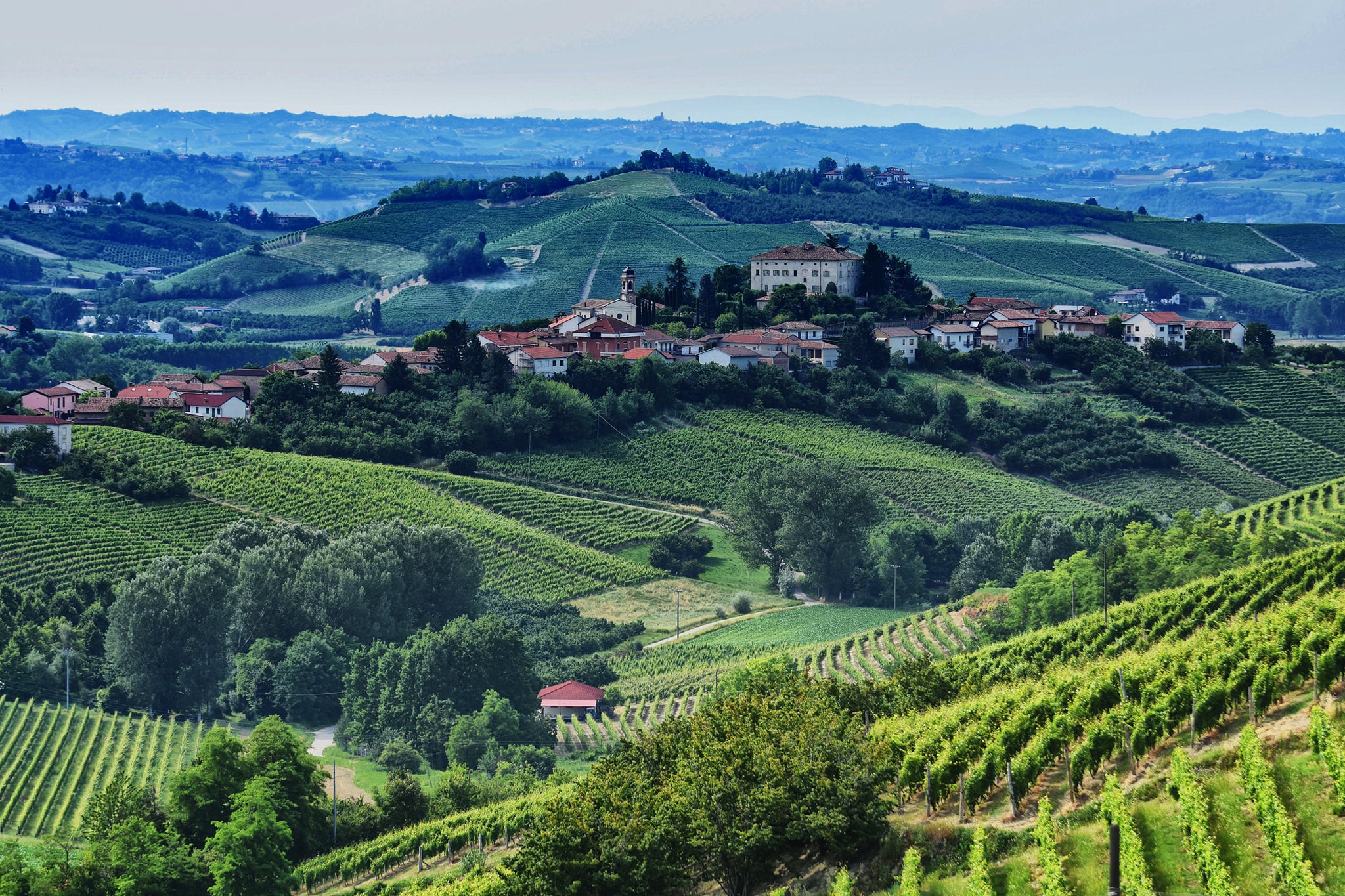 Asti docg vigne