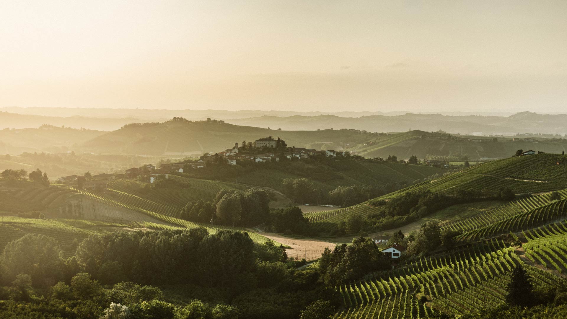 ARTISTI DEL PANETTONE E ASTI DOCG