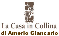 La Casa In Collina Di Amerio Giancarlo